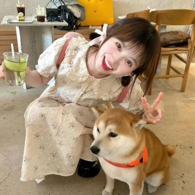 扑朔迷情